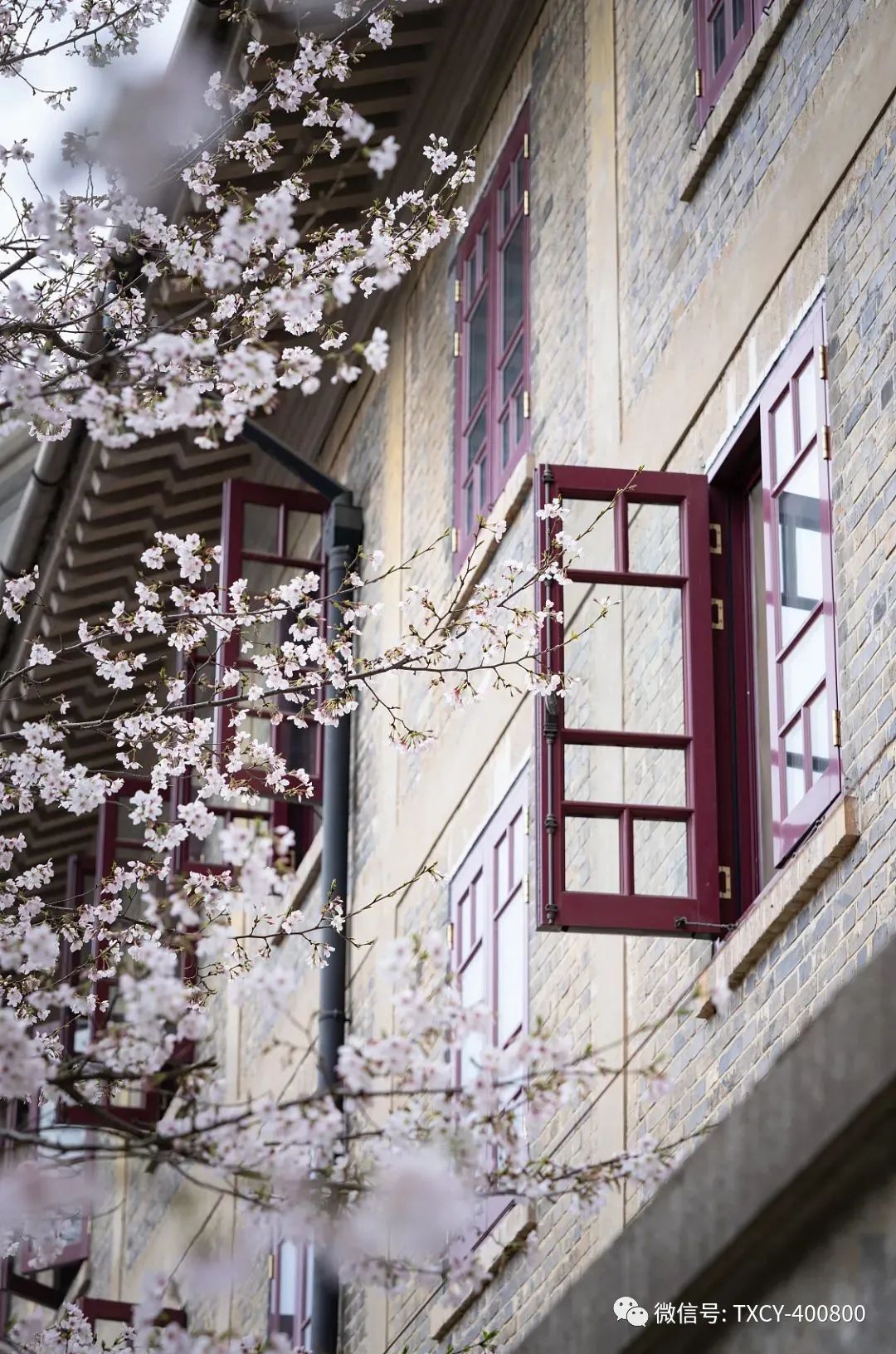 微信圖片_20220304110738.jpg 微信圖片_20220304110738.jpg